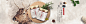 Banner-3