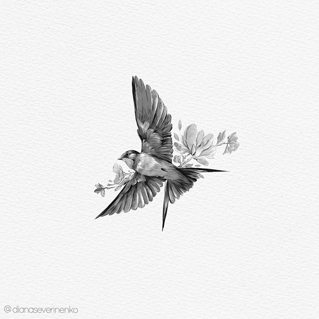 Swallow. Procreate i...