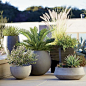 44 Magnificent Modern Container Gardening Ideas #flowerpots #containergardeningideas #containergardening