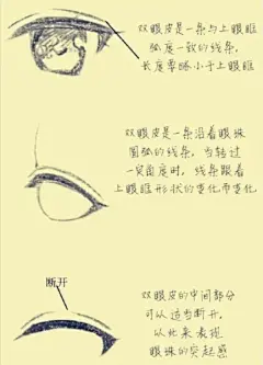 【眼睛手绘教程】眼睫毛与双眼皮的画法技巧！-图文教程-蓝铅笔