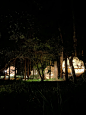 静岡丨泊まれる公園 INN THE PARK - 小红书