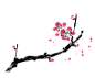 古风 梅花 png
