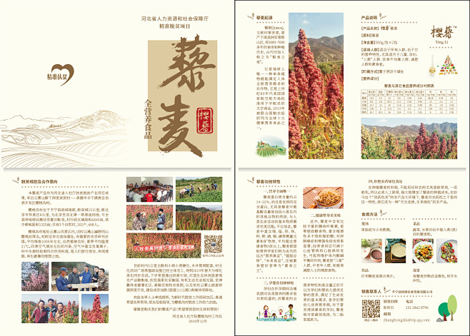 藜麦折页-品秀超感160克浅米色-