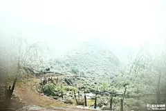 因为雨雪，没能看到7782海拔的南迦巴瓦峰。西藏现在的天气是一天四季。一会冰雪，...