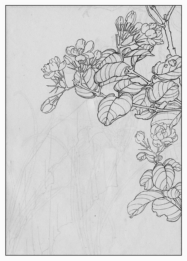 晗湮若汐从雪炉转采于2016-04-23 01:47:07茉莉:の那些素材之白描晗湮