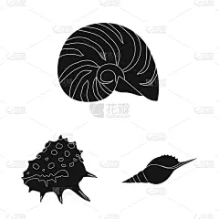 分离着色,自然,海洋,一个物体,符号,鸡尾酒,螺线,海产,收集,设计