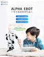 阿尔法Alpha Ebot智能教育编程学习语音对话声控机器人
