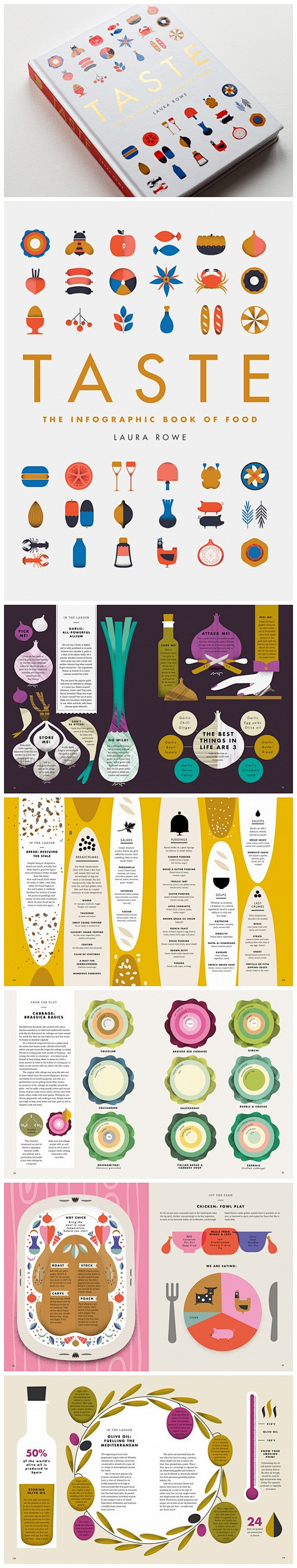 Taste Book食物信息图表书籍设计...