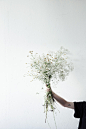 person holding flowers