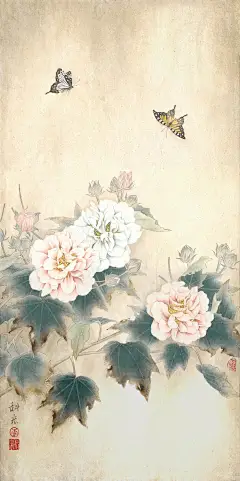 芙蓉双蝶图