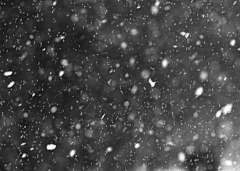 小杨爱吃生煎包采集到雪 喷雾 素材