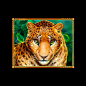 A Leopard slot symbol⁠ 
