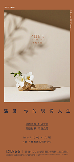 贵丝Grace采集到单图叙事