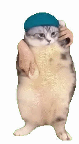 #猫猫meme# 我... - @yosorin-的微博 - 微博
