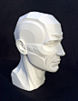 Anatomy Next - store - TOPOLOGY HEAD