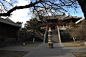 中式建筑 塔