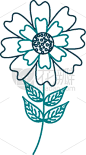 自然,茎,花瓣,叶子,紫苑,分离着色,季节,图像,花,排列