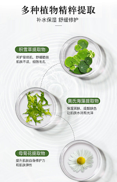 123dak采集到植物