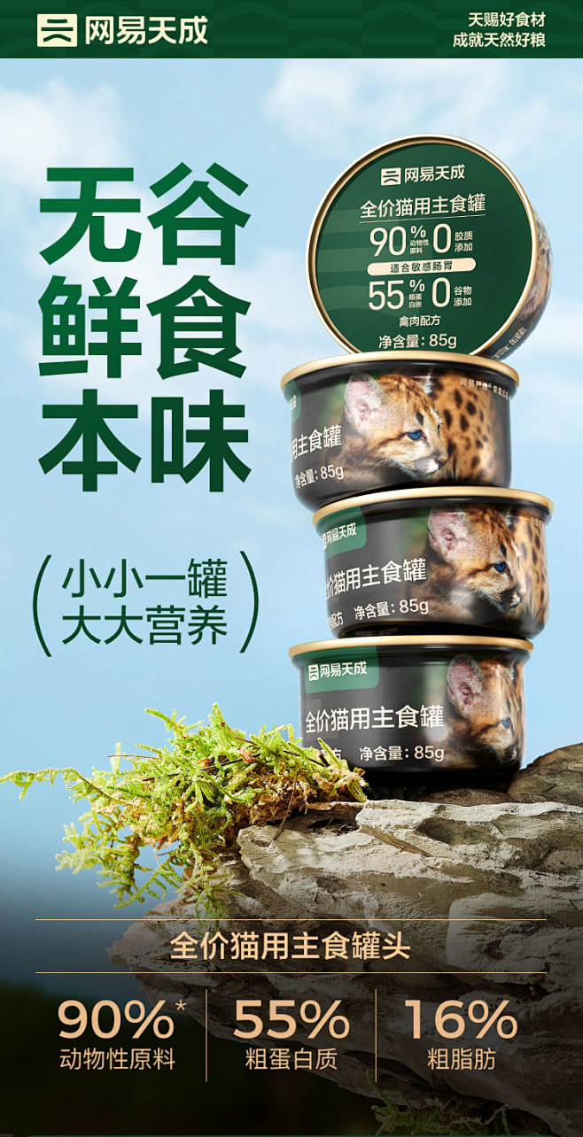 网易天成猫罐头主食罐85g幼猫成猫全价猫...