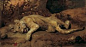 作品名称：《母狮》
作者：弗兰斯•斯奈德斯[1579（安特卫普）-1657（安特卫普）] 
创作时间：1620-1630年
类别：布面油画
规格：113 x 200.3厘米（画面） 161.9 x 249.4厘米（画框）
收藏单位：列支敦士登王室收藏，瓦杜兹-维也纳
Inv. GE 2135