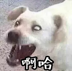 求“娘子啊哈”这个系列表情包啊哈哈哈哈哈_剑网3吧_百度贴吧