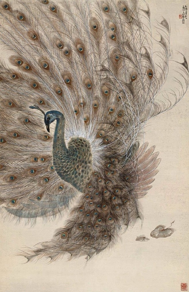 孔雀工笔画
