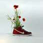 “JUST GROW IT”  Nike球鞋环保的延续