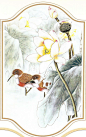 笔绘画-工笔花鸟鱼