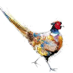 鸟绘画系列图集丨鸟手绘水彩油画插画艺术作品精选