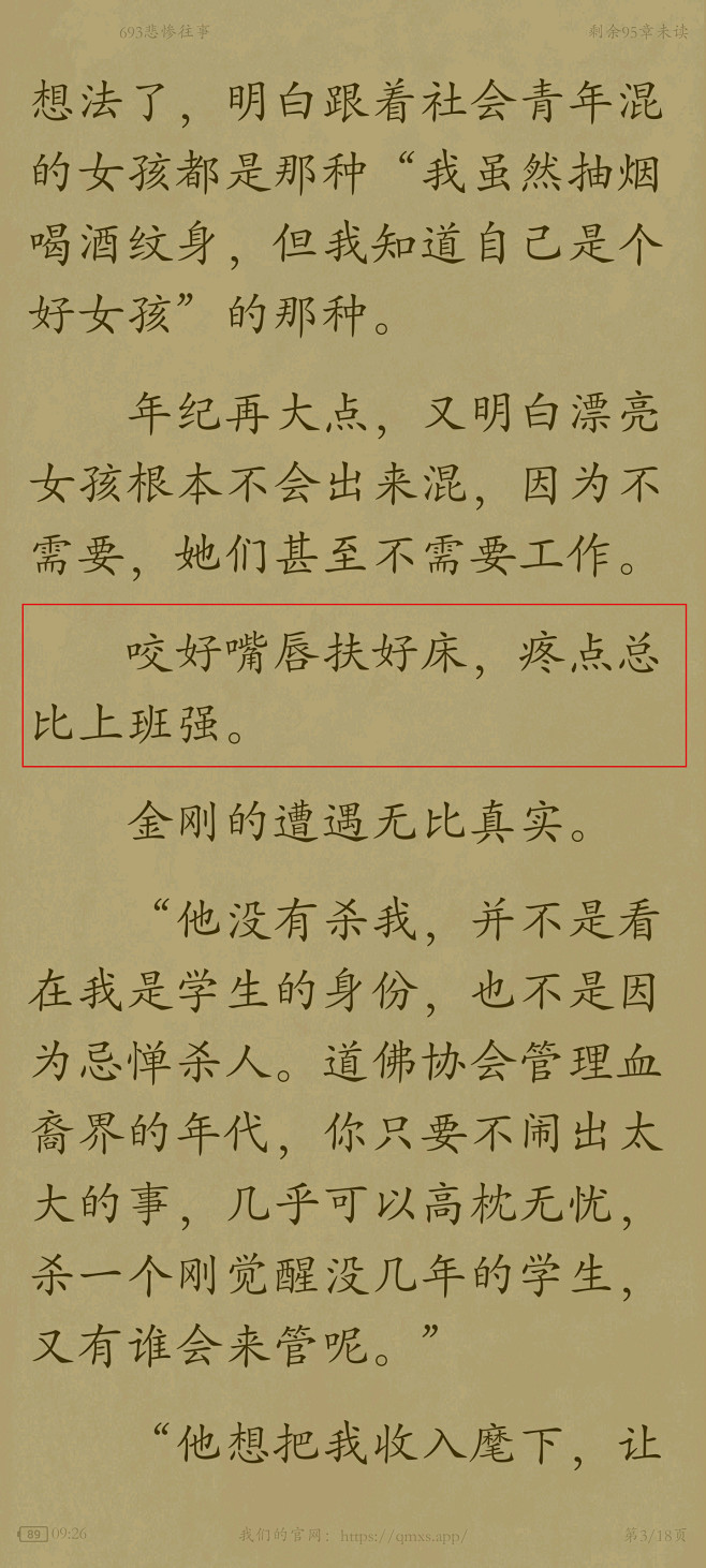 小说 (23)