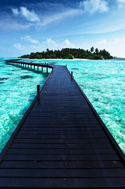 Maldives #美景#