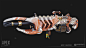 Apex Legends - "Bonesaw" Legendary Spitfire, Eric Simard : I had the privilege of making the "Bonesaw" Legendary for the Spitfire. I was responsible for the high poly, low poly, and texturing. 
Concept by Cliff Childs
