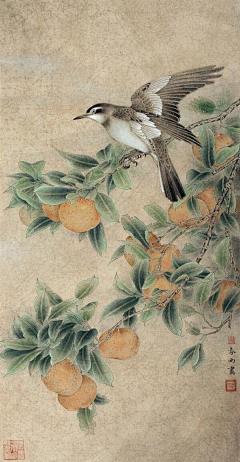 ~小迷糊~采集到中国工笔花鸟