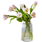 北欧轻奢装饰花瓶摆件 创意简约ins餐桌客厅插花干花透明玻璃花瓶-tmall.com天猫