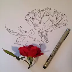 涂鸦 水墨 油画 水彩 童话 古风 写真 创作 插画欣赏##插画物语系列。来源于w--#栞宝宝