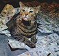 萌宠，金钱大佬