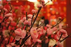 亚洲亚洲人背景开花狂欢节图片摘要猿艺术亚洲亚洲人图片#猴年# #春节# #新年# #农历新年# #2016# #春天#  #治愈系# #素描# #水彩# #壁纸# #中国风#