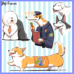 89号/-采集到动物