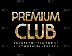 矢量精英模板高级俱乐部。黄金豪华字母表字母和数字集