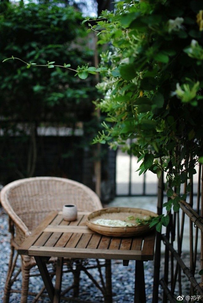 平常的花，平常的茶，过着平常的日子。 ​...