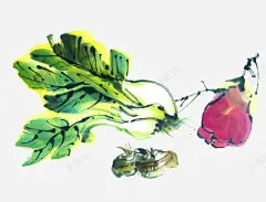 蔬菜食物高清素材 手绘 插画 白菜 青菜 免抠png 设计图片 免费下载