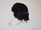 灵动的猫 | 日本画家 村上豊