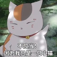 非原作，侵权删 猫咪老师表情包 图文兼容… | 半次元-二次元爱好者社区