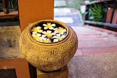 水容器鸡蛋花漂浮在水面上