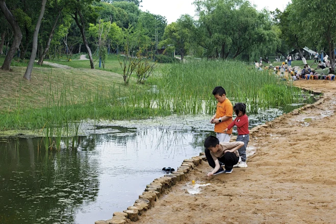 大溪港湖湾儿童友好湿地公园：重建儿童与自...