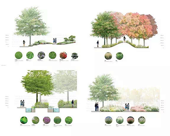 植物设计分析图