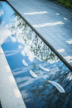 月牙湖边看风景采集到台阶