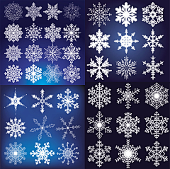 雪~洛采集到雪花