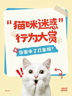 生活分享宠物行为大赏可爱meme爆款大字小红书封面aigc