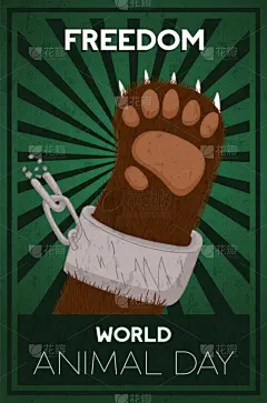 自由,动物,熊,白昼,概念,链,动物保护,暴力,濒危物种,人工饲养动物